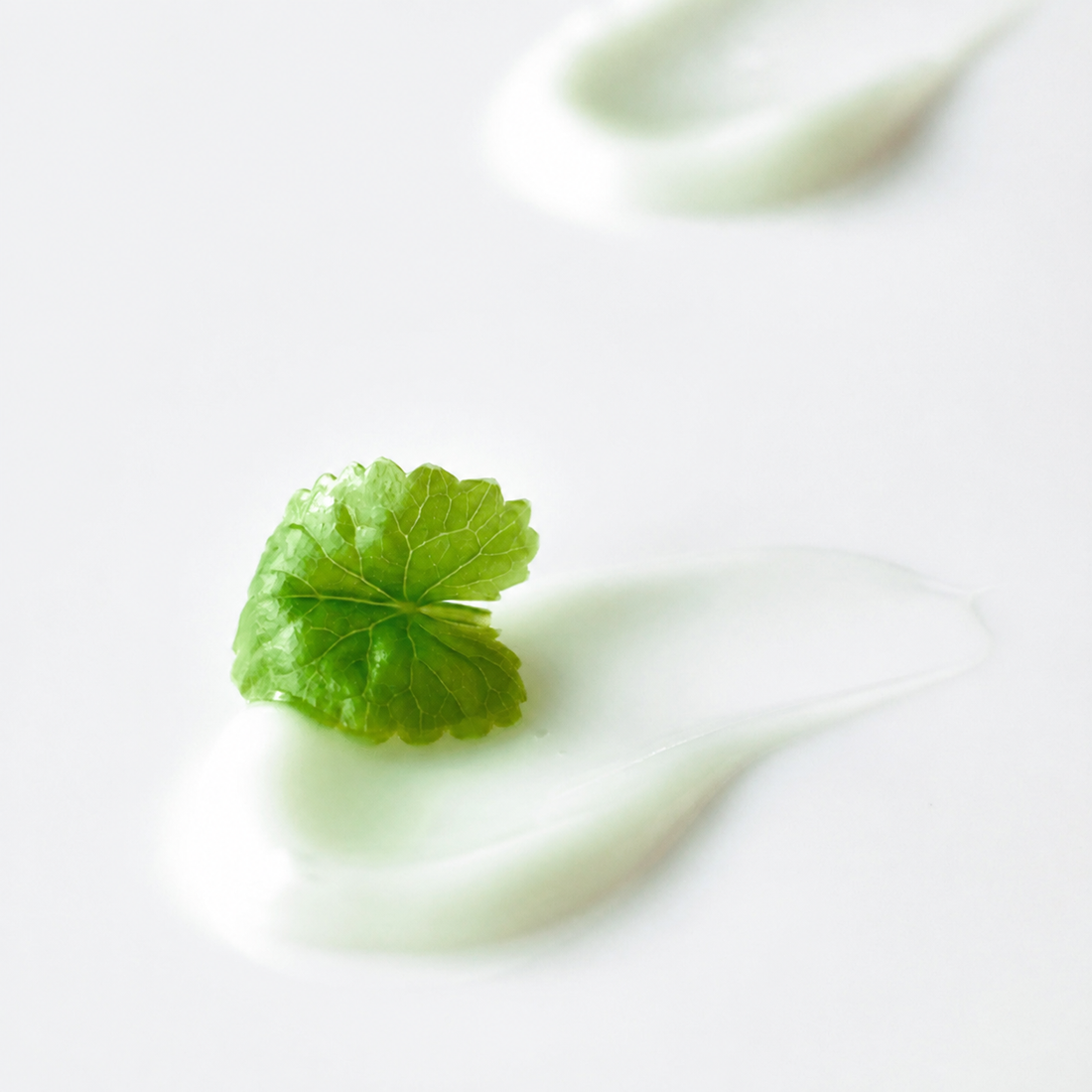 Light On Serum - Centella + Vita C