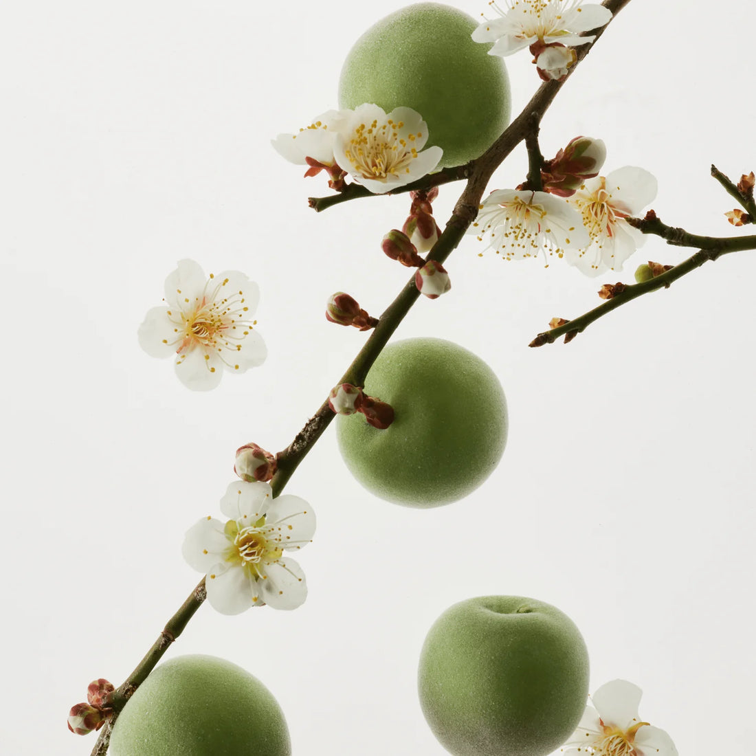 Green Plum Refreshing Toner - AHA + BHA